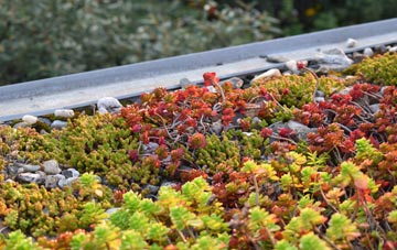 the cost of Lamellion green roof installation